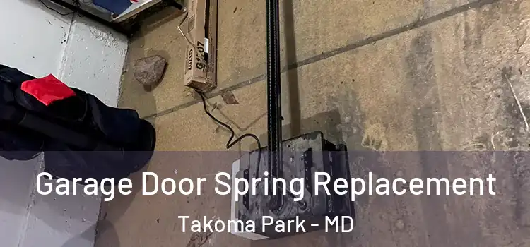  Garage Door Spring Replacement Takoma Park - MD