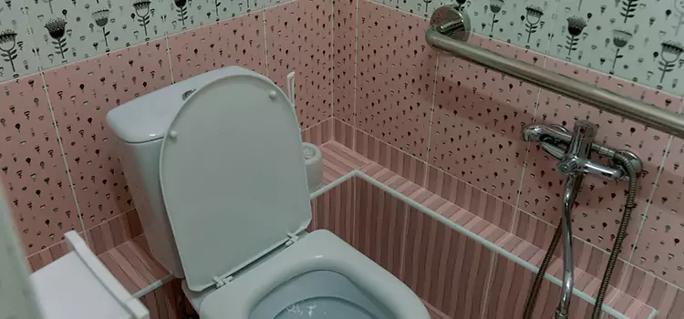 Meeting Diverse Needs With Accessible Restroom Solutions in Takoma Park, MD